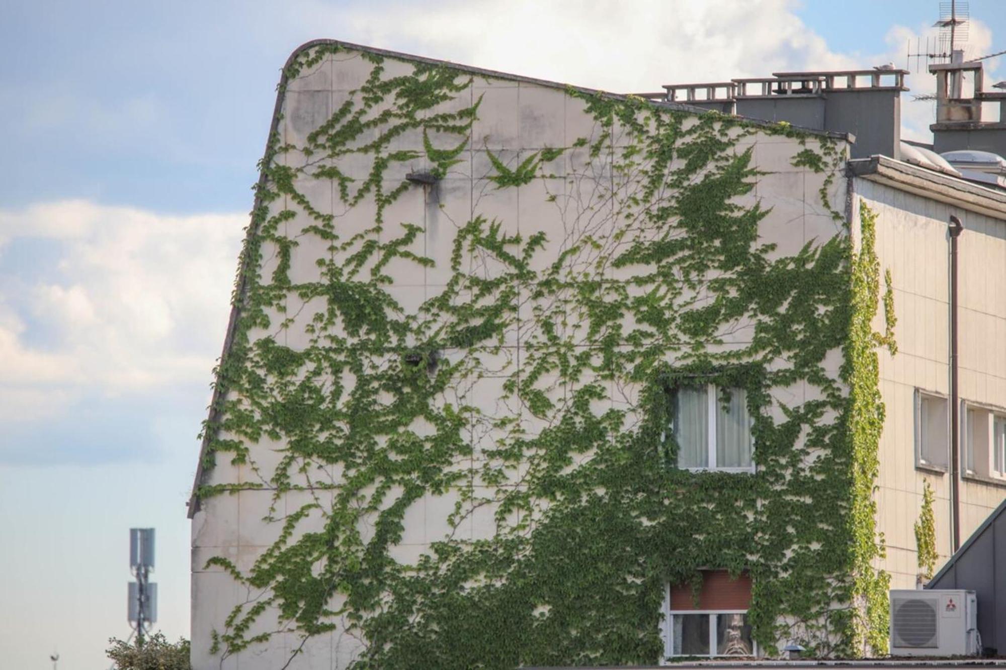 La Pause annécienne, appartement familial. Annecy Exterior foto